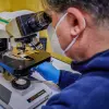 Diagnostica Service
