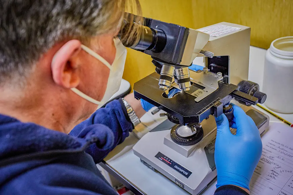 Diagnostica Service