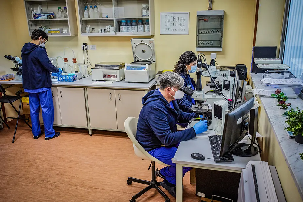 Diagnostica Service