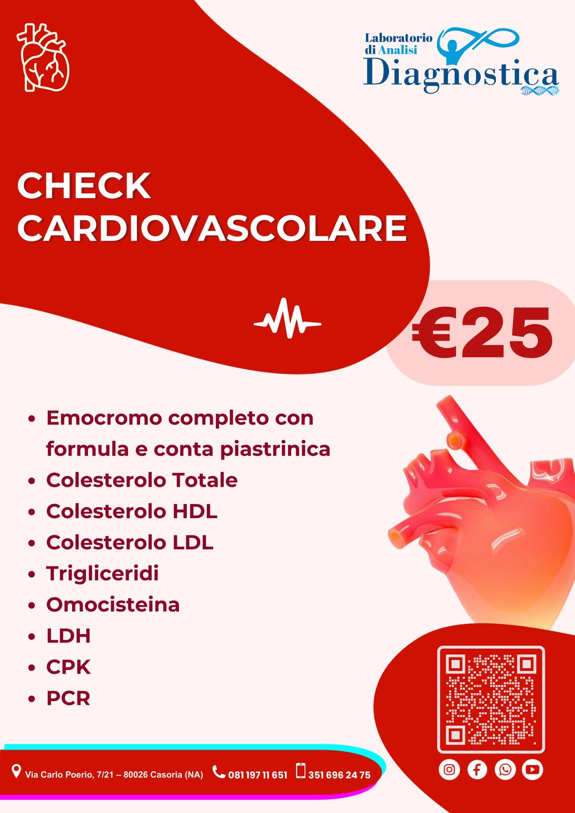 Diagnostica Service