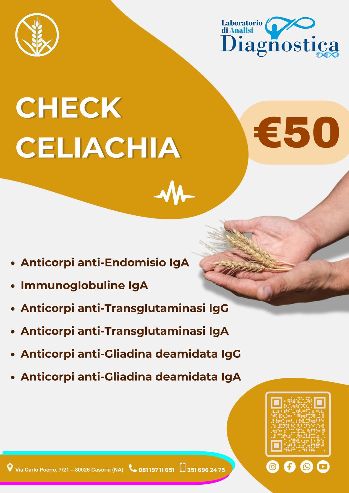 Diagnostica Service