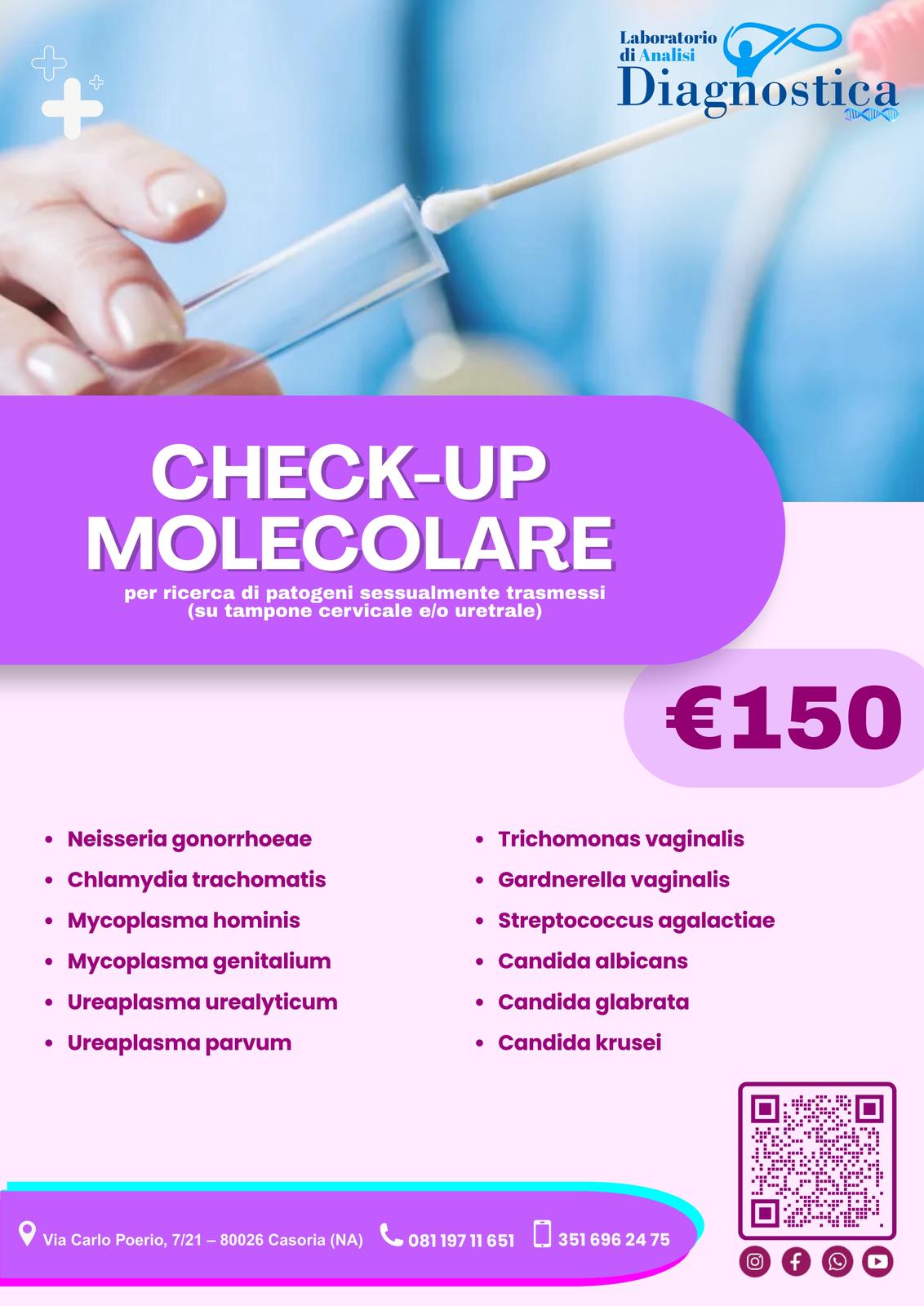 Diagnostica Service