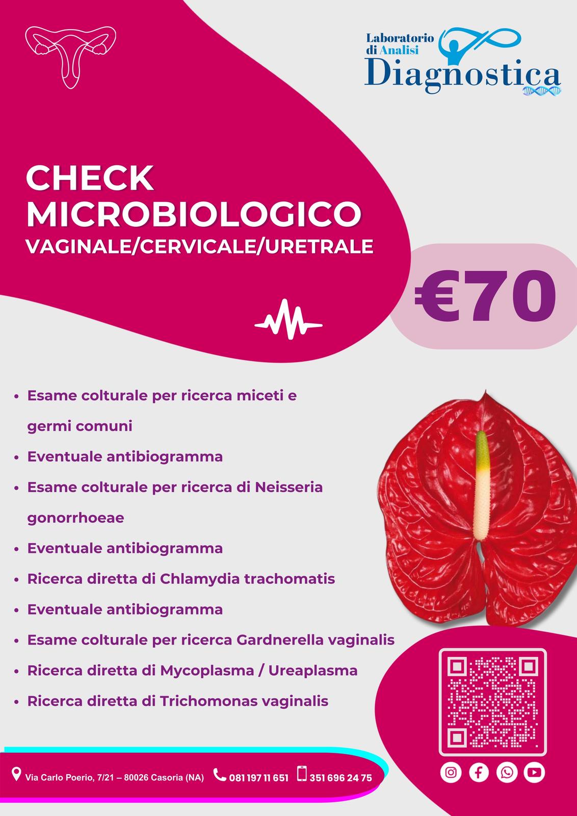 Diagnostica Service