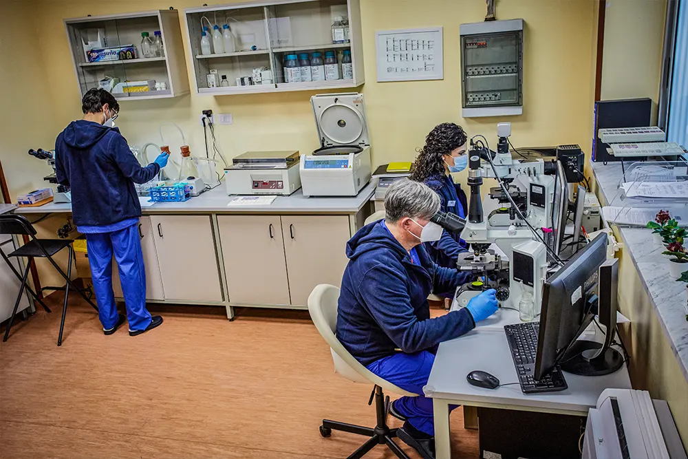 Diagnostica Service