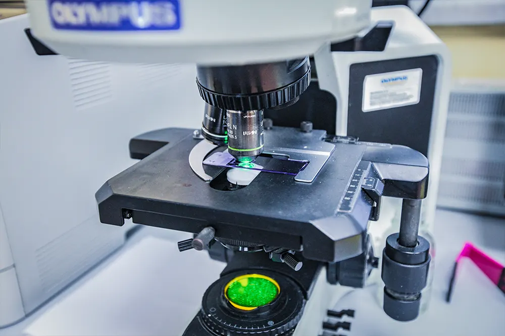 Diagnostica Service