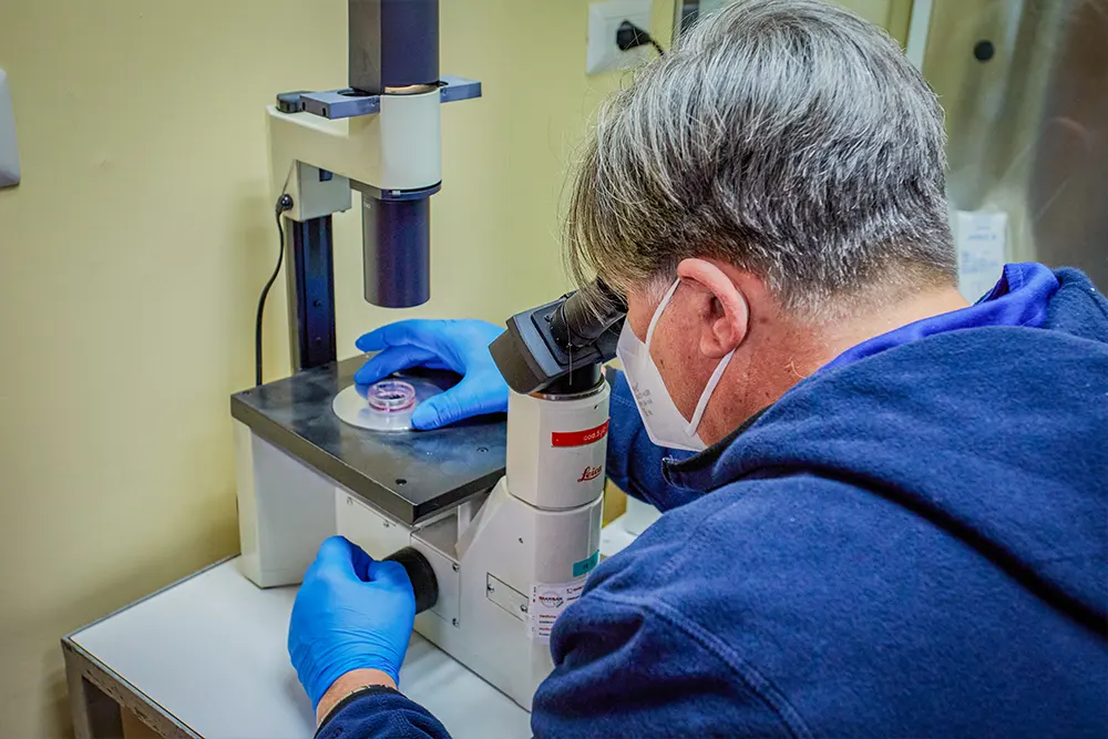 Diagnostica Service