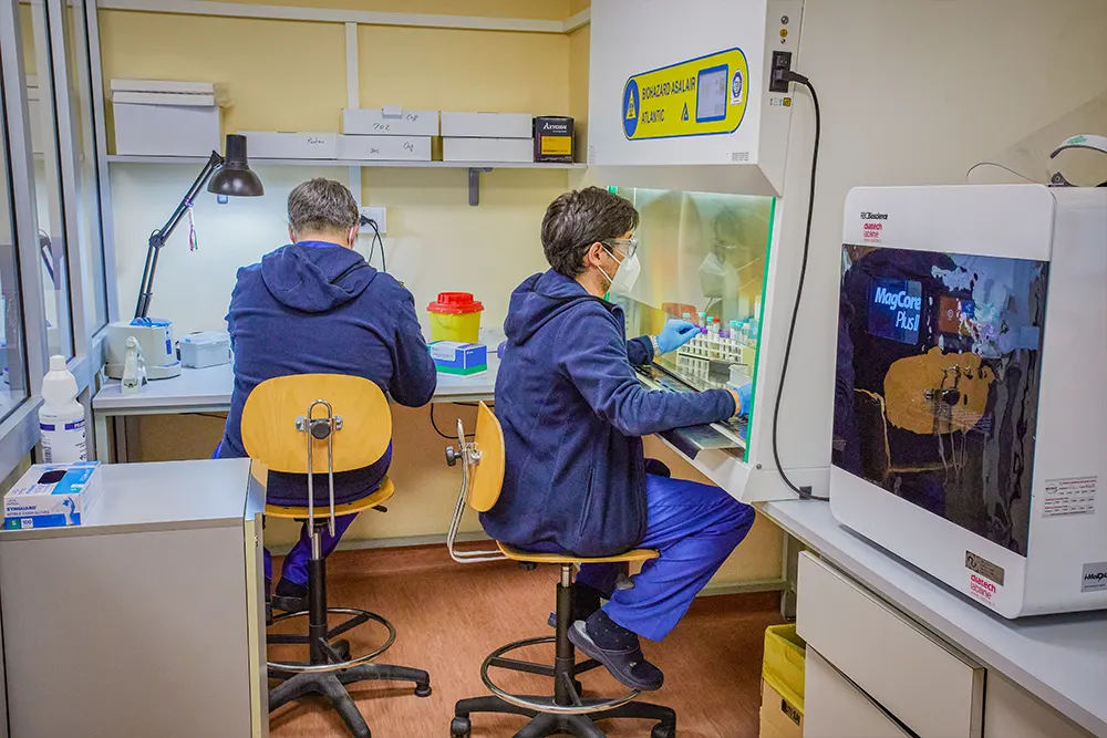 Diagnostica Service