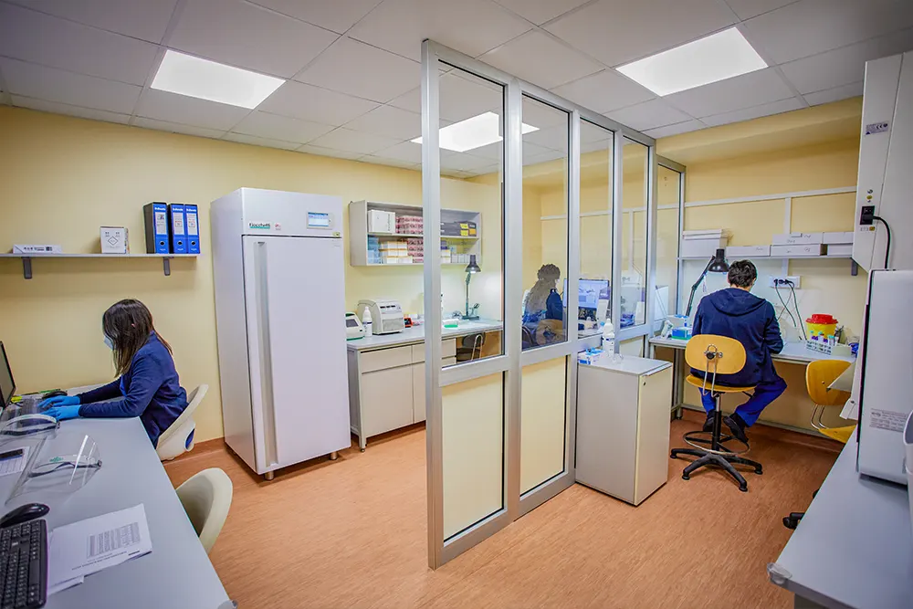 Diagnostica Service