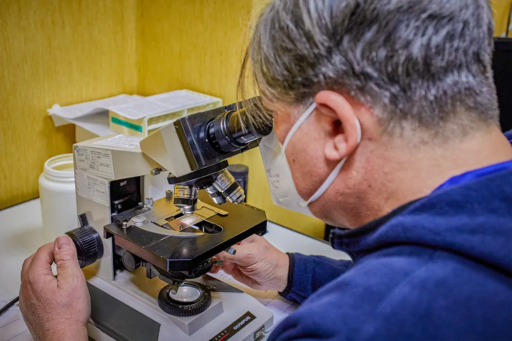 Diagnostica Service